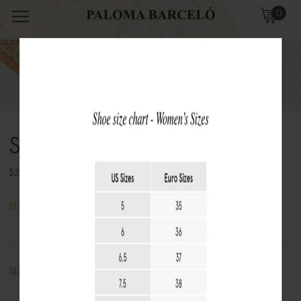 Paloma Barcelo Sandrine Woven Flat Sandals Size 38 - Picture 8 of 8